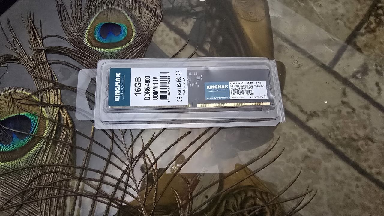 Ram kingmax 16G ddr5 4800