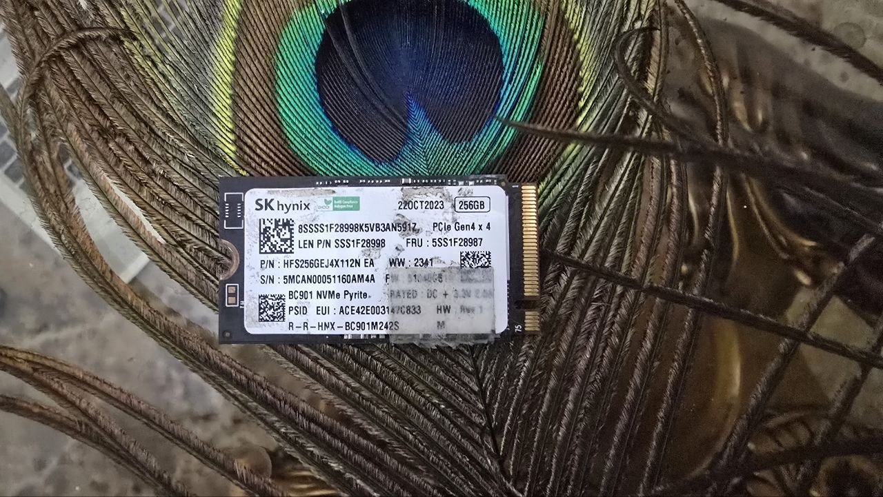Ssd skhynix 2242