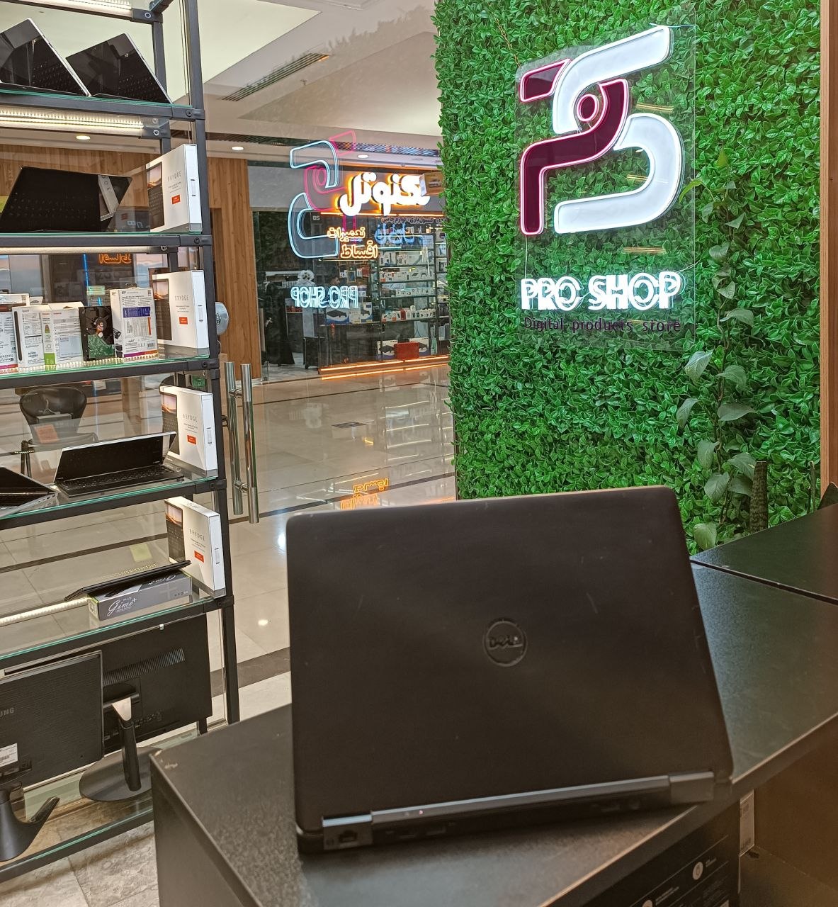 ?Dell E7250